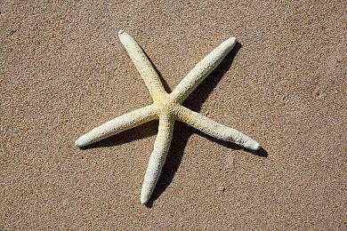 发现好玩的回合制游戏，玩家制作《灵途》带你摸鱼打架两不误！